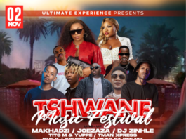 Tshwane Music Festival 2024 to Feature DJ Zinhle and Makhadzi as Headliners