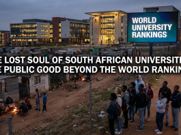 The lost soul of South African Universities: The Public Good